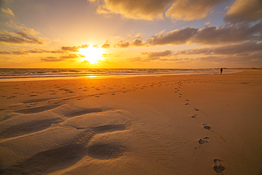 View of beach and the Atlantic Ocean at sunrise, Corralejo Natural Park, Fuerteventura, Canary Islands, Spain, Atlantic, Europe