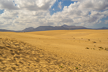 View of beach and mountains on a sunny day, Corralejo Natural Park, Fuerteventura, Canary Islands, Spain, Atlantic, Europe