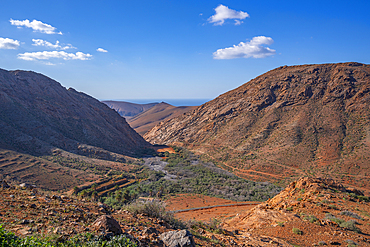 View of landscape near Vega de Rio Palmas, Betancuria, Fuerteventura, Canary Islands, Spain, Atlantic, Europe