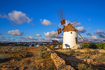 View of traditional windmill in Antigua, Antigua, Fuerteventura, Canary Islands, Spain, Atlantic, Europe