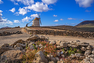 View of typical windmill and landscape on a sunny day, La Oliva, Fuerteventura, Canary Islands, Spain, Atlantic, Europe