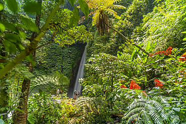 View of Melanting waterfall, Kabupaten Buleleng, Gobleg, Bali, Indonesia, South East Asia, Asia