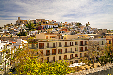 Elevated view of Cathedral, Vara de Rei Square and Dalt Vila, UNESCO World Heritage Site, Ibiza Town, Eivissa, Balearic Islands, Spain, Mediterranean, Europe