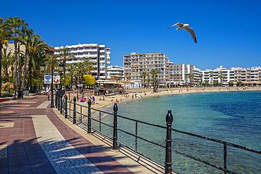 View of promenade and Playa De Santa Eulalia, Santa Eularia des Riu, Ibiza, Balearic Islands, Spain, Mediterranean, Europe