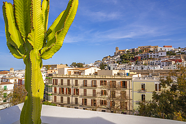 Elevated view of Cathedral, Vara de Rei Square and Dalt Vila, UNESCO World Heritage Site, Ibiza Town, Eivissa, Balearic Islands, Spain, Mediterranean, Europe