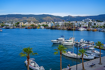 View of boats in Kos Harbour in Kos Town from elevated position, Kos, Dodecanese, Greek Islands, Greece, Europe