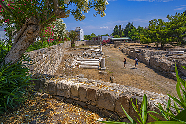 View of Ancient Agora and flowering trees, Kos Town, Kos, Dodecanese, Greek Islands, Greece, Europe