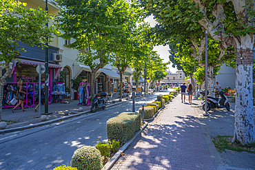 View of shops on tree lined street, Kos Town, Kos, Dodecanese, Greek Islands, Greece, Europe