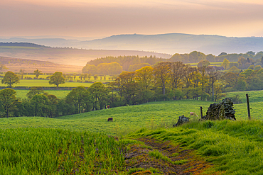 View of sunset from Wadshelf in the Peak District National Park, Derbyshire, England, United Kingdom, Europe