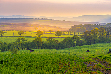 View of sunset from Wadshelf in the Peak District National Park, Derbyshire, England, United Kingdom, Europe