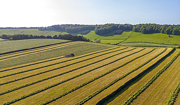 Aerial view of hay fields near Baslow village, Peak District National Park, Derbyshire, England, United Kingdom, Europe