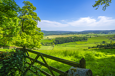 View of farmland near Chatsworth House in spring, Derbyshire Dales, Derbyshire, England, United Kingdom, Europe