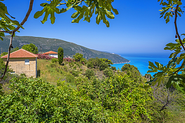 View of houses overlooking coastline, sea and hills near Agkonas, Kefalonia, Ionian Islands, Greek Islands, Greece, Europe