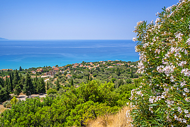 View of olive groves and coastline near Lourdata, Kefalonia, Ionian Islands, Greek Islands, Greece, Europe