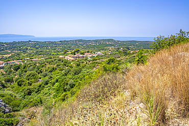 View of olive groves and coastline near Lourdata, Kefalonia, Ionian Islands, Greek Islands, Greece, Europe