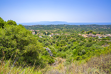 View of olive groves and coastline near Lourdata, Kefalonia, Ionian Islands, Greek Islands, Greece, Europe