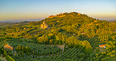 Elevated view of vineyards, olive groves and Montepulciano at sunset, Montepulciano, Tuscany, Italy, Europe