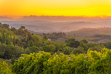 View of vineyards and landscape at sunrise near San Gimignano, San Gimignano, Province of Siena, Tuscany, Italy, Europe