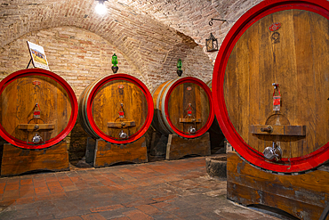 View of wine barrels in cellar at Cantina Ercolani, wine shop and museum in Montepulciano, Montepulciano, Province of Siena, Tuscany, Italy, Europe