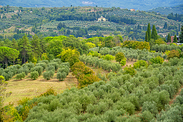 View of Tuscan landscape from Passeggio del Prato, Arezzo, Province of Arezzo, Tuscany, Italy, Europe