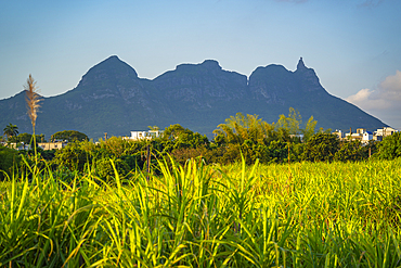 View of farmland and mountains near Quatre Bornes, Mauritius, Indian Ocean, Africa