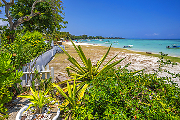 View of Beach at Trou-aux-Biches and turquoise Indian Ocean on sunny day, Trou-aux-Biches, Mauritius, Indian Ocean, Africa