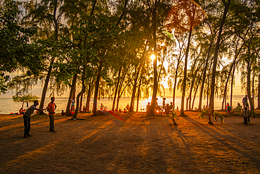 View of trees and people on Mon Choisy Public Beach at sunset, Mauritius, Indian Ocean, Africa