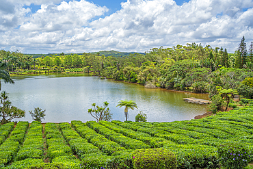 View of exterior of Bois Cheri Tea Estate, Savanne District, Mauritius, Indian Ocean, Africa