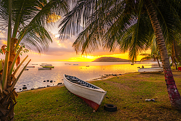 View of Le Morne through palm trees at Le Morne Brabant at sunset, Savanne District, Mauritius, Indian Ocean, Africa