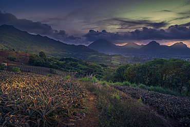 View of Pieter Both and Long Mountain, Nouvelle Decouverte, Mauritius, Indian Ocean, Africa