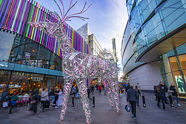 View of shops and Christmas lights, Liverpool City Centre, Liverpool, Merseyside, England, United Kingdom, Europe