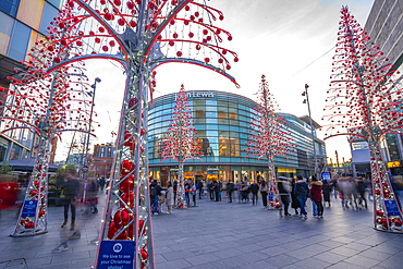 View of shops and Christmas lights, Liverpool City Centre, Liverpool, Merseyside, England, United Kingdom, Europe