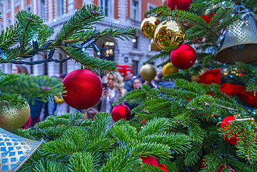 View of Christmas decorations in the Piazza, Covent Garden, London, England, United Kingdom, Europe