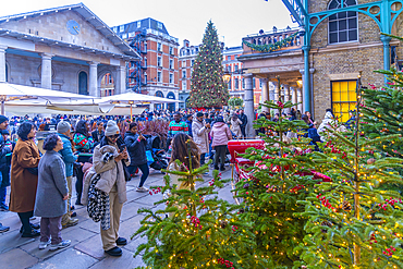 View of Christmas decorations in the Piazza, Covent Garden, London, England, United Kingdom, Europe