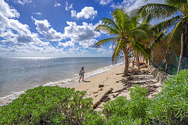 View of woman walking on beach near Puerto Morelos, Caribbean Coast, Yucatan Peninsula, Mexico, North America