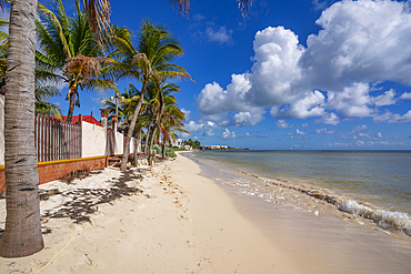 View of beach near Puerto Morelos, Caribbean Coast, Yucatan Peninsula, Mexico, North America