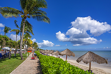 View of hotel and sea near Puerto Morelos, Quintana Roo, Caribbean Coast, Yucatan Peninsula, Riviera Maya, Mexico, North America