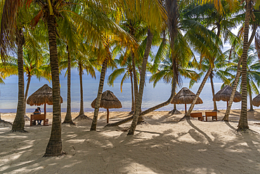 View of palm trees and Playa Delfines, Cancun, Caribbean Coast, Yucatan Peninsula, Riviera Maya, Mexico, North America