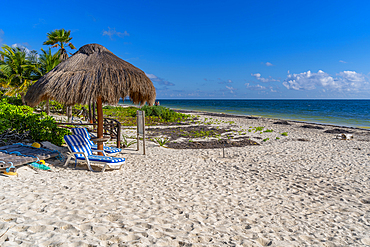 View of sun loungers and palm trees on beach at Puerto Morelos, Caribbean Coast, Yucatan Peninsula, Riviera Maya, Mexico, North America