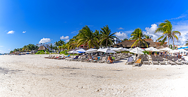 View of beach and palm trees at Puerto Morelos, Caribbean Coast, Yucatan Peninsula, Riviera Maya, Mexico, North America