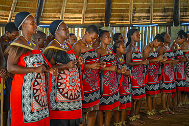 View of Swazi musical and dance performance, Mantenga Cultural Village a traditional Eswatini settlement, Malkerns, Eswatini, Africa