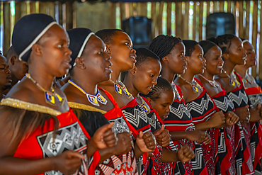 View of Swazi musical and dance performance, Mantenga Cultural Village a traditional Eswatini settlement, Malkerns, Eswatini, Africa