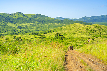 View of safari vehicles in Hluhluwe-Imfolozi Park (Umfolozi), the oldest nature reserve in Africa, KwaZulu-Natal Province, South Africa, Africa