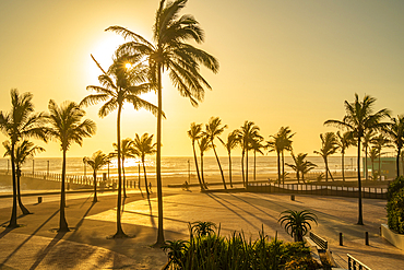 View of palm trees, promenade and Indian Ocean in background at sunrise, Durban, KwaZulu-Natal Province, South Africa, Africa