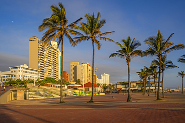 View of palm trees, promenade and hotels in background at sunrise, Durban, KwaZulu-Natal Province, South Africa, Africa