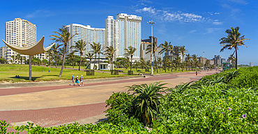 View of shrubs on promenade and hotels, Durban, KwaZulu-Natal Province, South Africa, Africa