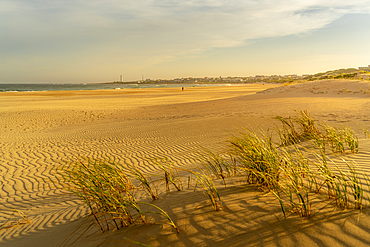 View of sand dunes and beach with Seal Point Lighthouse in background, Cape St. Francis, Eastern Cape Province, South Africa, Africa