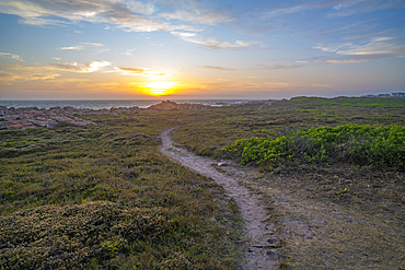 View of sunset from Seal Point Lighthouse, Cape St. Francis, Eastern Cape Province, South Africa, Africa