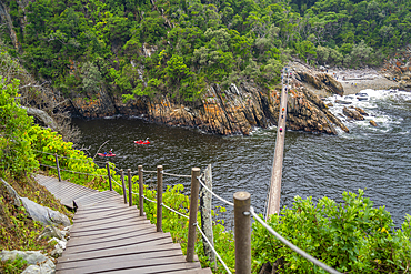 View of suspension bridge at Storms River, Tsitsikamma National Park, Garden Route National Park, South Africa, Africa