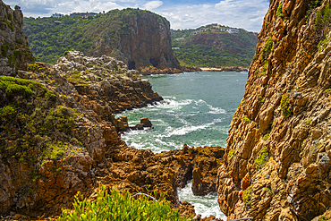 View of the Featherbed coastal walk and coastline in Featherbed Nature Reserve, Knysna, Garden Route, Western Cape, South Africa, Africa